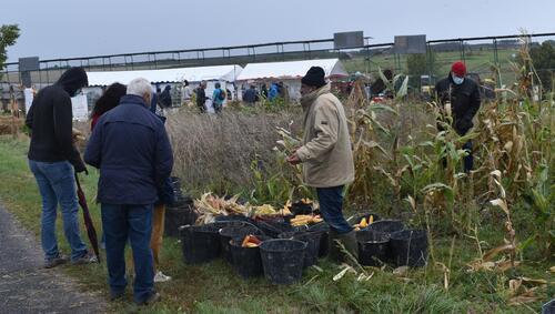 Fête des cueilleurs de biodiversité