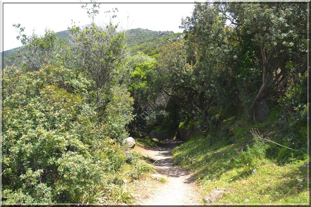 Sur le sentier du facteur