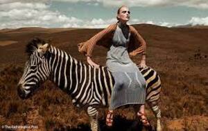 mode fashion zebra stripes fashion  