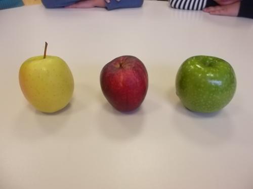 A la découverte de la POMME