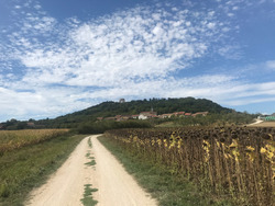 Le lac de la Madine