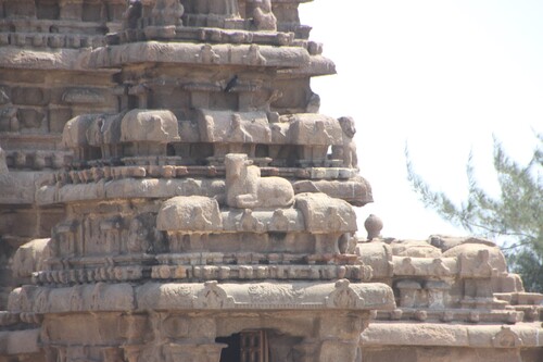 Le temple du rivage à Mahabalipuram