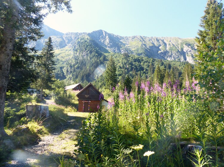 Les lacs du Plateau du Taillefer..