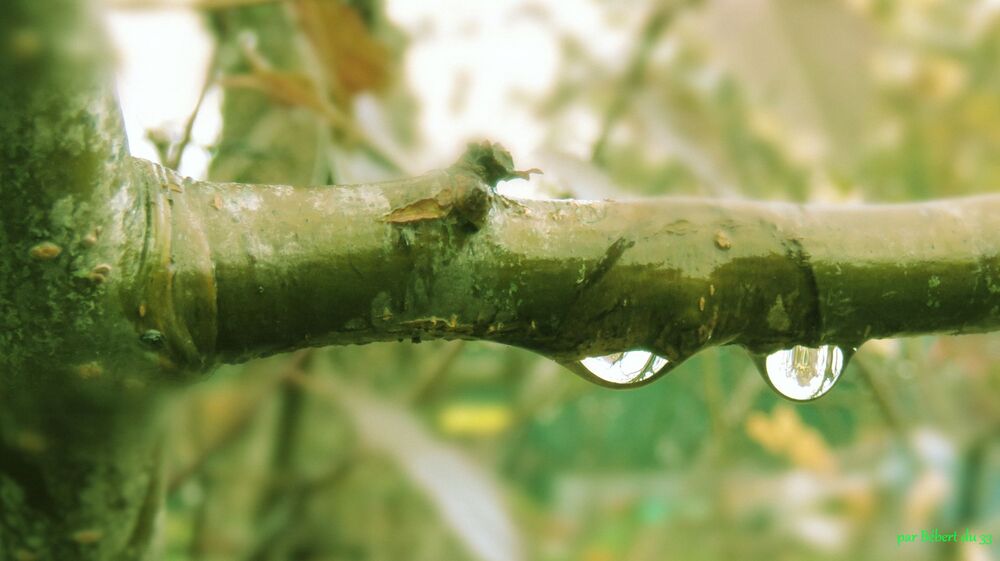 avec la pluie il y a des ...