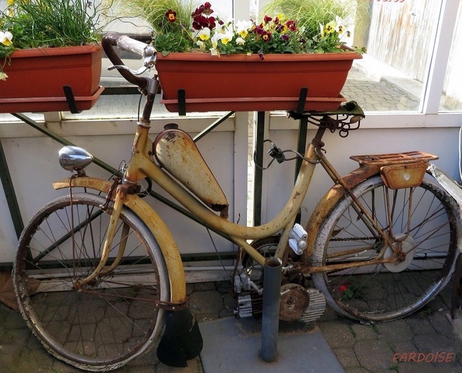 Faire fleurir les vieux vélos