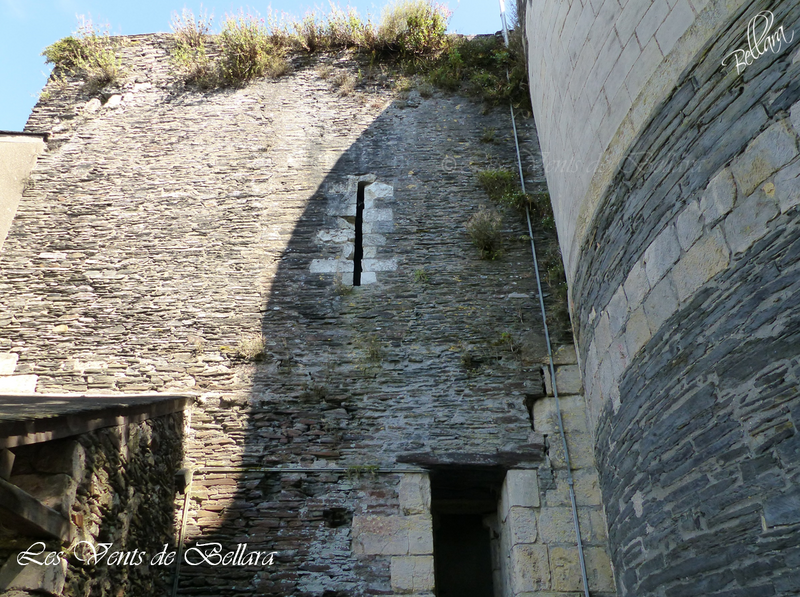 Angers - Le château d'Angers - Balade sur les hauteurs - 3
