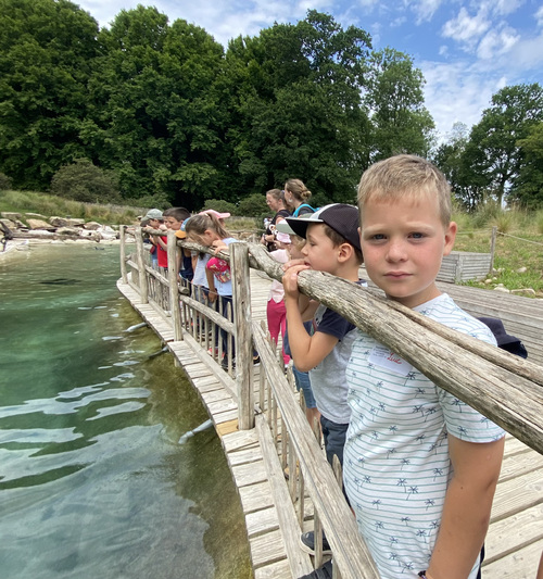 Pourmenadenn er zoo