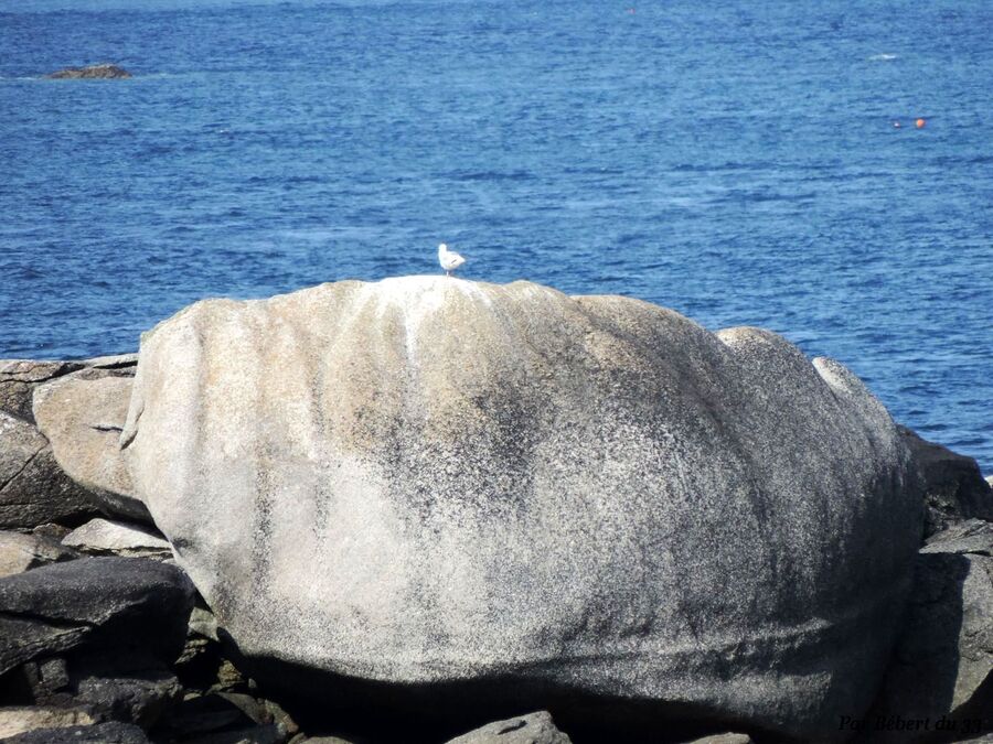 Ploudalmezeau - Finistère