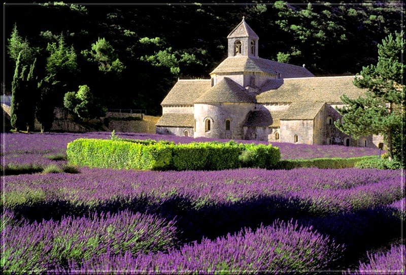 Abbaye Notre-Dame de Sénanque