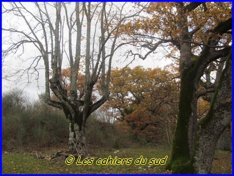 La source de l'Huveaune