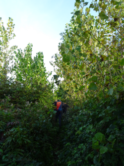 CR / RANDO 15 - Mercredi 4 octobre - PORT DE BARSAC