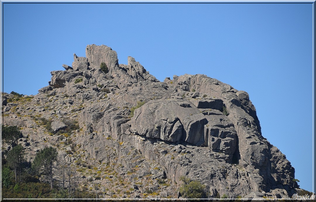 Rochers en forêt de l'Ospedale - Corse