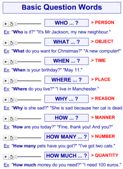 QUESTIONS - Interactive book