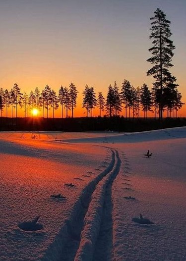 Images du monde : Soleil en hiver