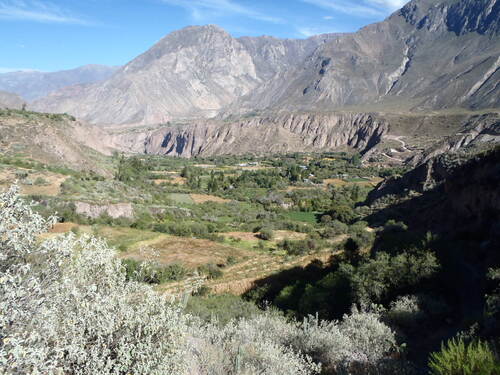 Cotahuasi et son canyon