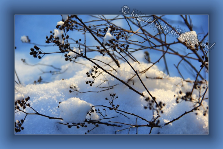 La magie de la neige...