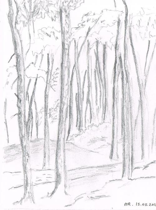 Aquarelle en forêt de Barbizon