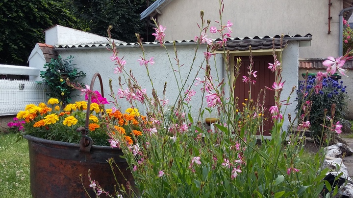 le jardin de ma marraine 