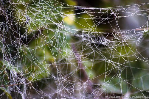 On se fait une toile ... Art naturel - saint jean de chevelu - Savoie