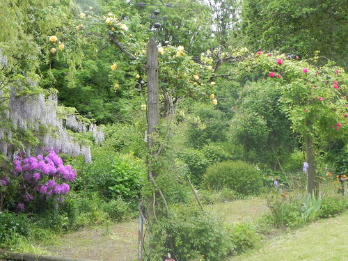 Mon jardin dans l'ensemble 