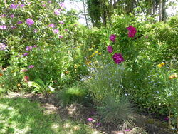 Mon jardin dans l'ensemble 