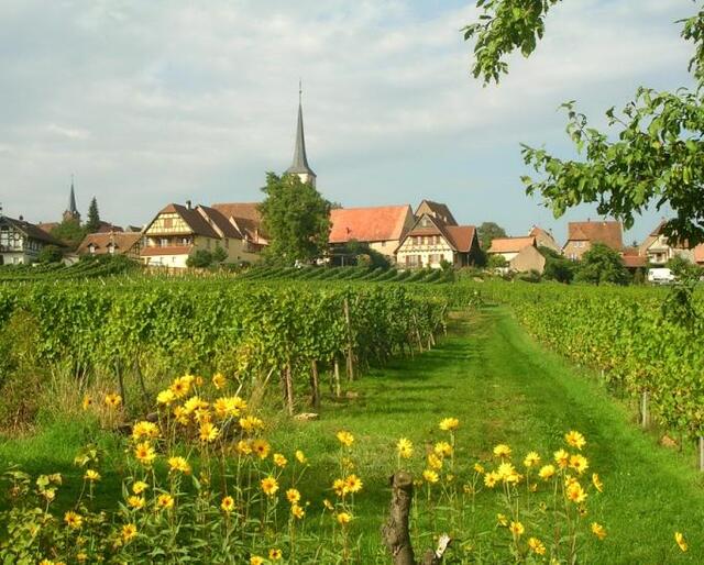 Blog de lisezmoi : Hello! Bienvenue sur mon blog!, Le Bas-Rhin : les plus beaux villages