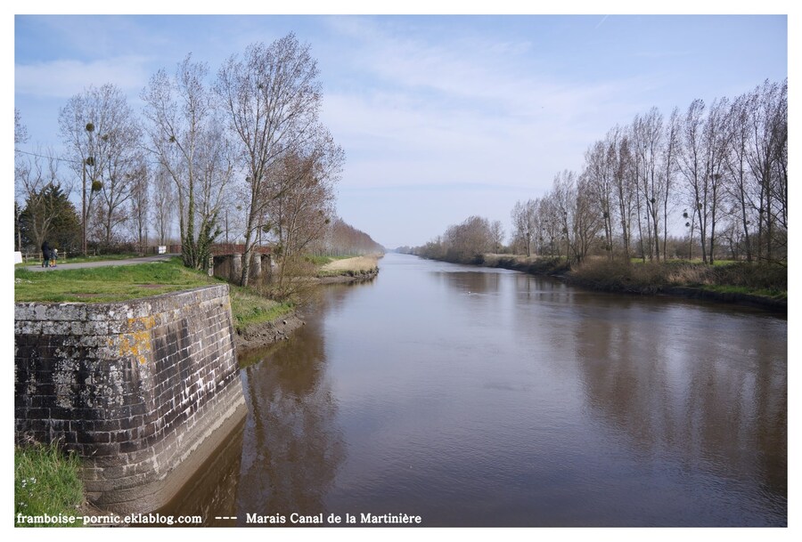 Canal de la Martinière vers la Loire