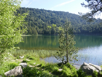 Le lac de Balcère en début de matinée