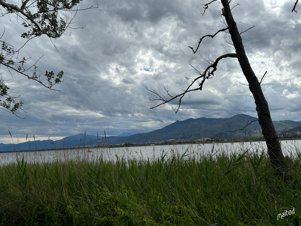 Etang de Biguglia