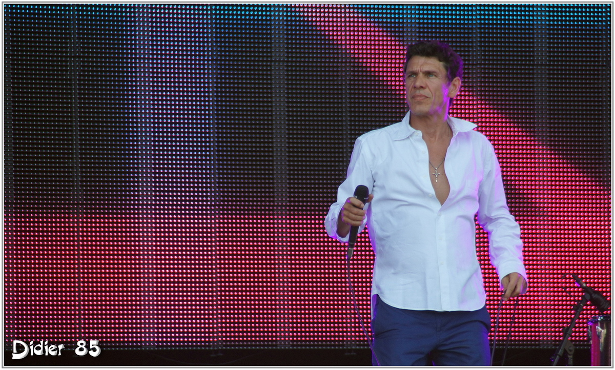 Marc Lavoine (1) - Festival des Vieilles Charrues 2013