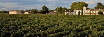 chateau-gazin-pomerol660