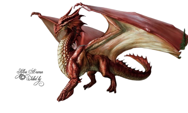 Dragons 5