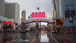 Reno sous la pluie
