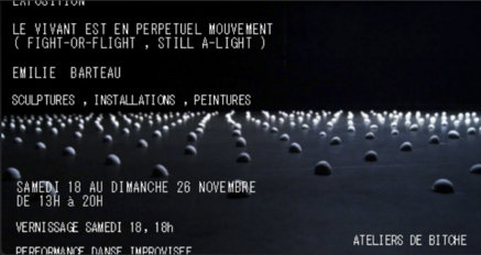 LE VIVANT EST EN PERPÉTUEL MOUVEMENT - EXPOSITION - ÉMILIE BARTEAU  du 18 au 26 novembre aux Ateliers de BItche 