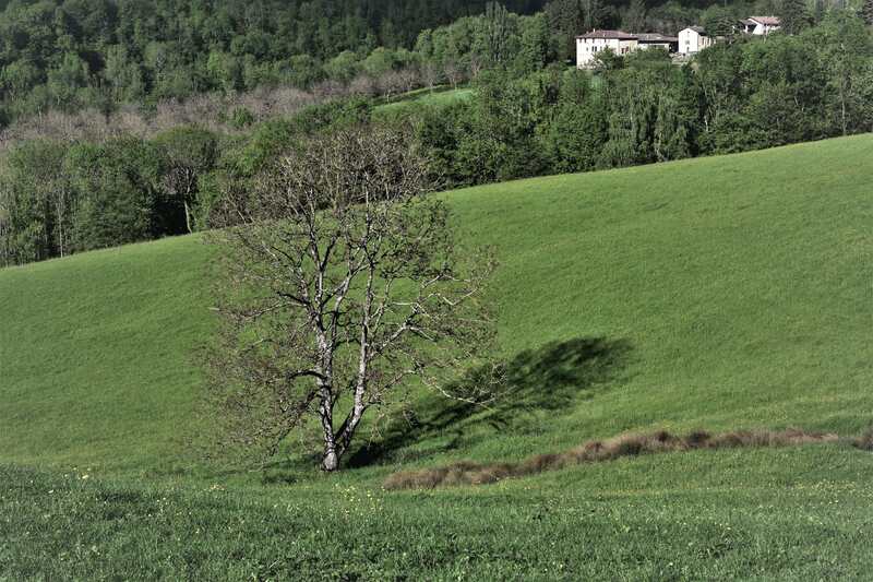 2021.05.13 Dans la Drôme