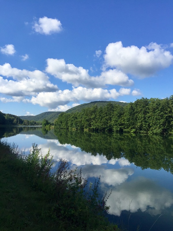 Rives de Meuse dans les Ardennes, 4 : jolis reflets