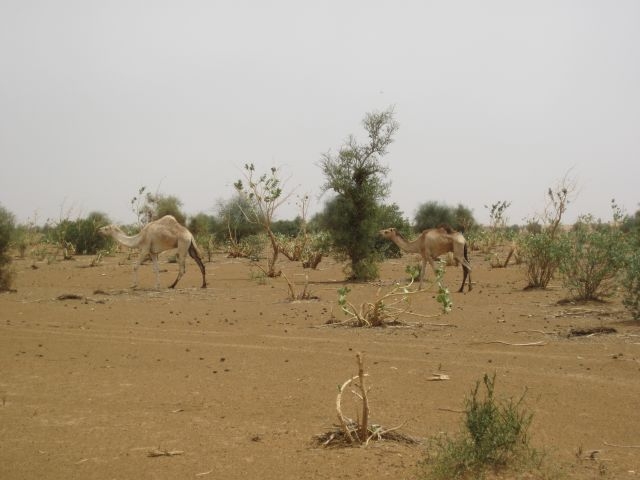 Mauritanie Route de l\'Espoir 2