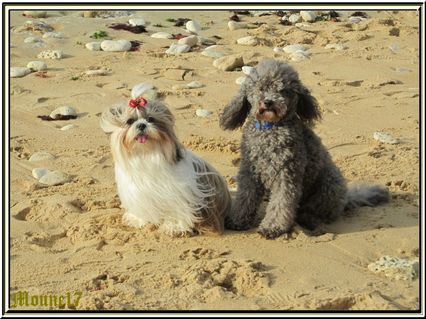 Un p'tit tour à la plage