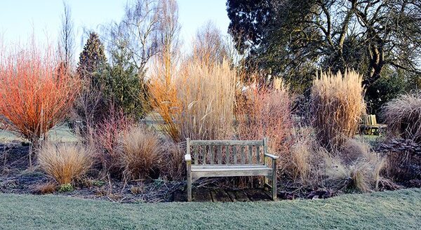 Jardins- d'hiver -photos