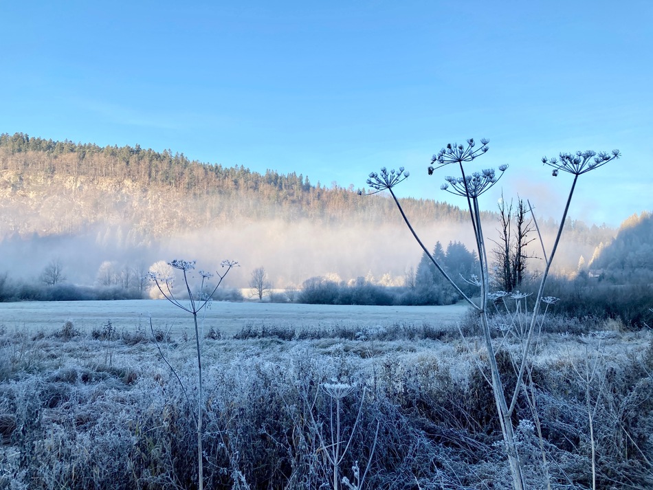 premiers frimas du Doubs, 10