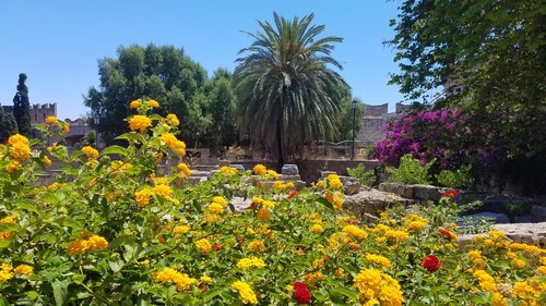 La lumière du matin à Rhodes