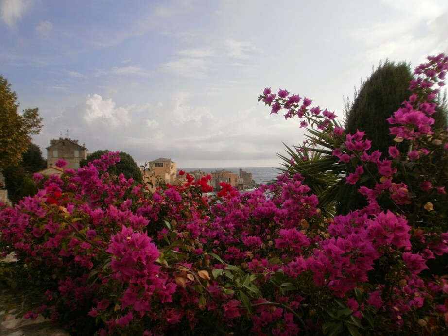 Erbalunga, joyau du Cap Corse