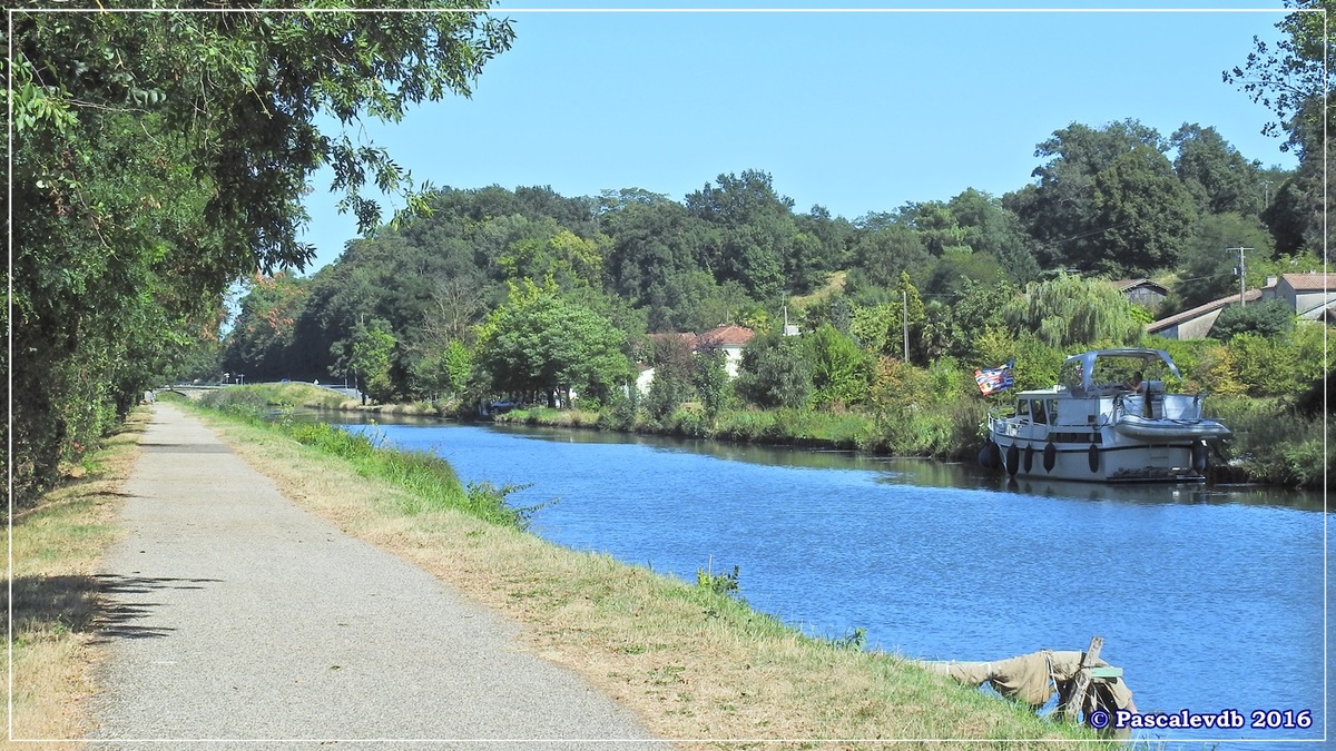 Le long du canal latéral à la Garonne - Août 2016 - 6/12