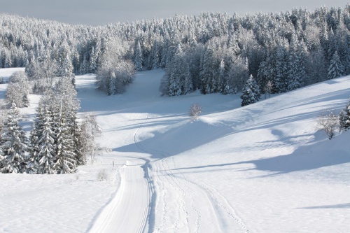 Mes origines, ma Franche-Comté ! 