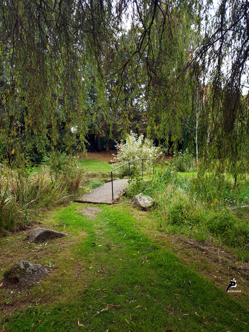 Petit jardin japonais à Passavant-la-Rochère (70)