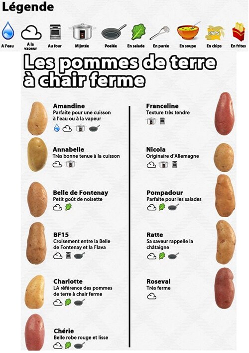 Comment choisir sa variété de pommes de terre