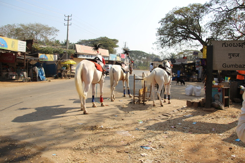 Sur la route, entre Mysore et Hassan