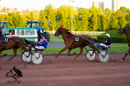 PRIX DU CREDIT AGRICOLE BRIE PICARDIE