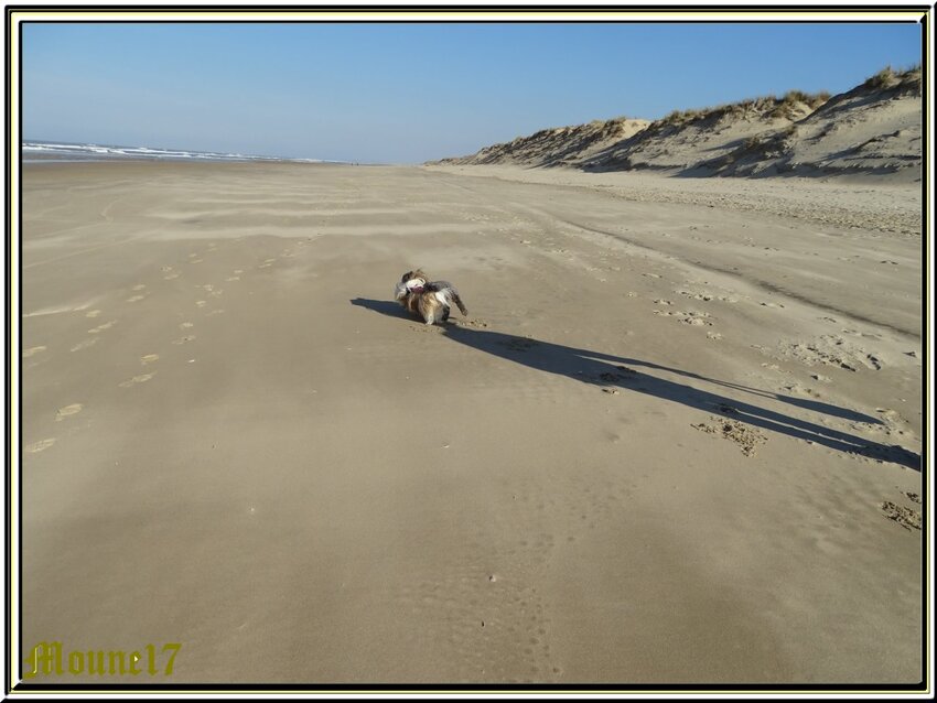 Un dimanche à la plage