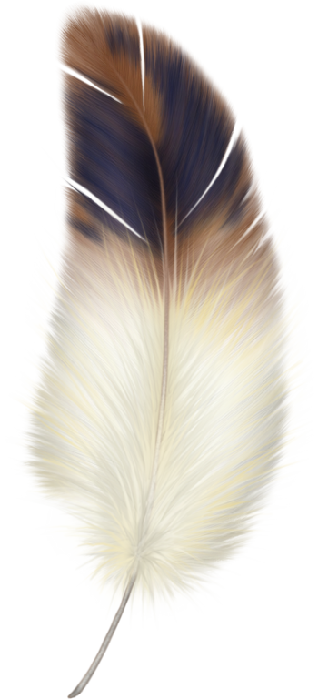 Plumes